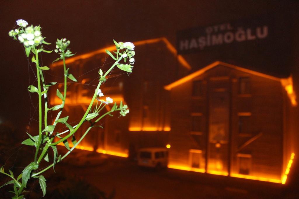 Ayder Hasimoglu Hotel Ngoại thất bức ảnh